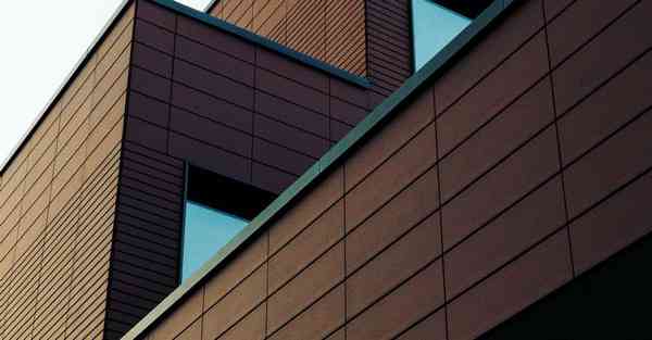 保护动物宣传画幼儿园_保护动物宣传画简笔画