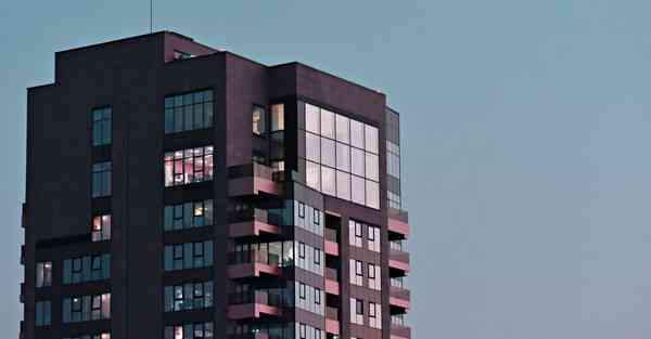 保护动物宣传片中英文_保护动物宣传片中英文短片