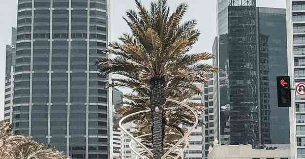 教育培训机构未来发展趋势_教育培训机构未来发展趋势分析报告