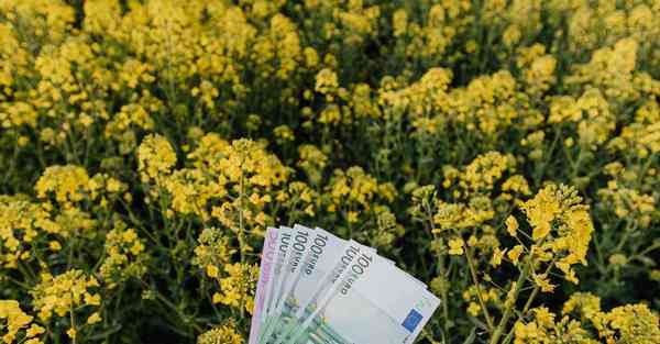 滕州宣传片制作公司