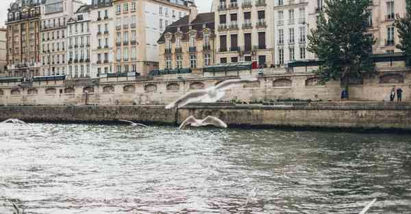 网易游戏宣传片制作_网易游戏宣传案例