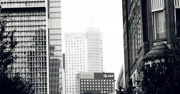 购物平台哪个质量靠谱_购物平台哪个质量靠谱最便宜