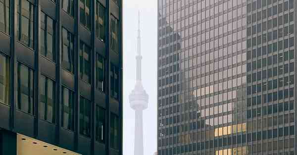 教育培训机构排行最新_教育培训机构排课系统