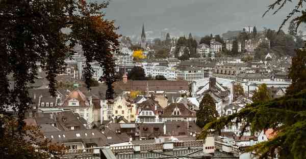 保护动物宣传片中英文_保护动物宣传片中英文短片