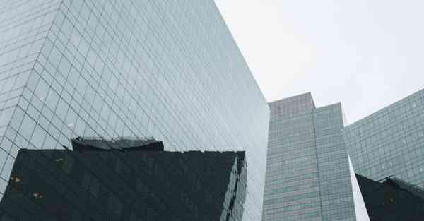 保护动物宣传片小学生_保护动物宣传片双语