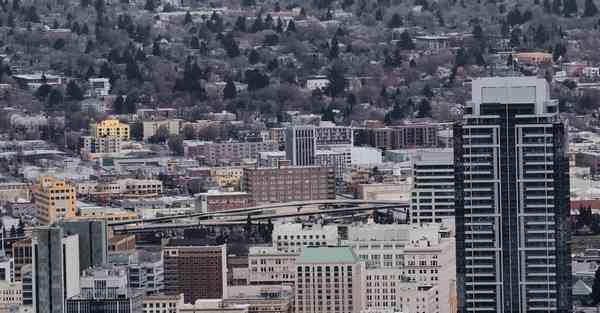 教育培训最新政策2024