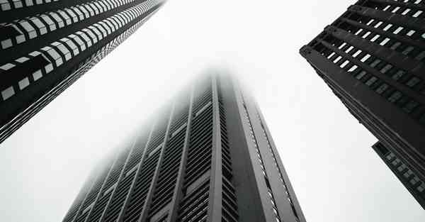 制作蚕展示宣传片