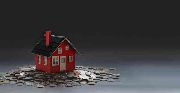 制作蚕展示宣传片