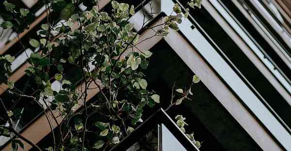 校园宣传片制作ppt_襄阳宣传片制作拍摄