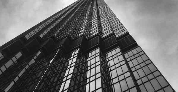 制作蚕展示宣传片